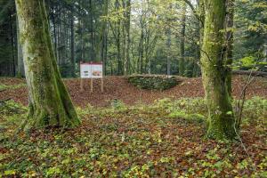 Informativna tabla o Arheološki poti Cvinger na mestu, kjer so arheologi pred tridesetimi leti rekonstruirali del obzidja okoli gradišča.